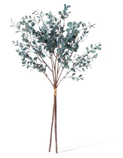 Eucmalyptus Decmor Bundle in Dusty