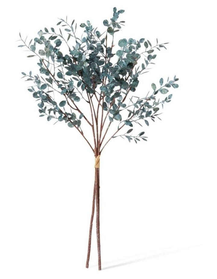 Eucmalyptus Decmor Bundle in Dusty image 1