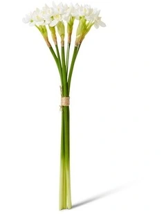 Paperwhite Flower Bundle in White 43cm