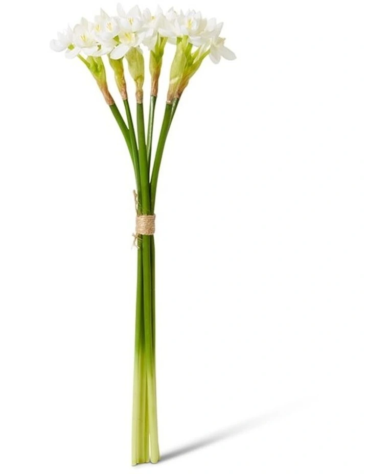 Paperwhite Flower Bundle in White 43cm image 1