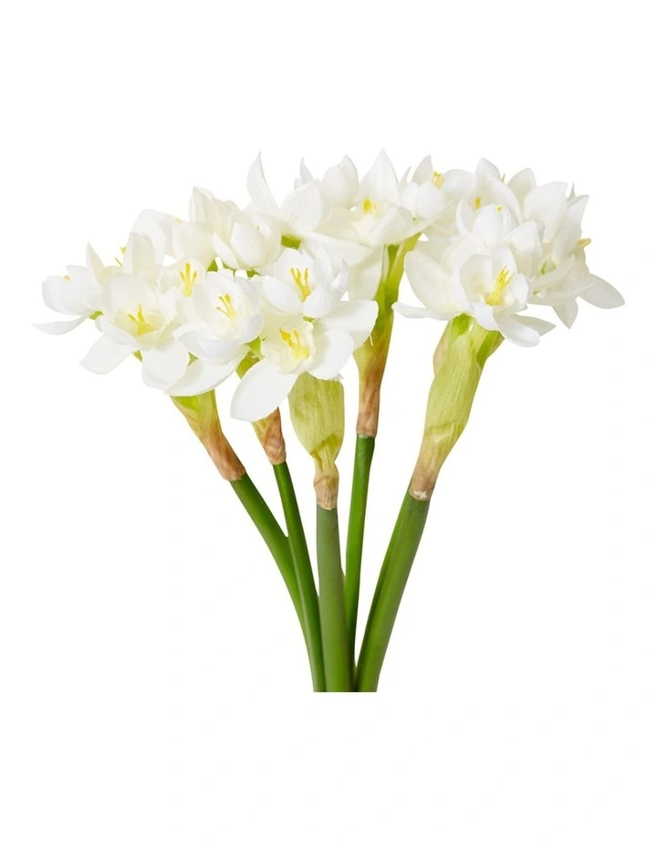 Paperwhite Flower Bundle in White 43cm image 2