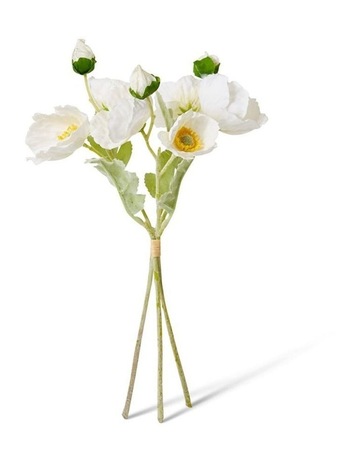 White colour
