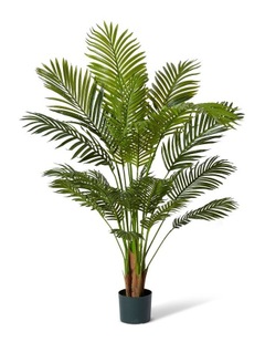 Elme Living Palm Areca 137cm