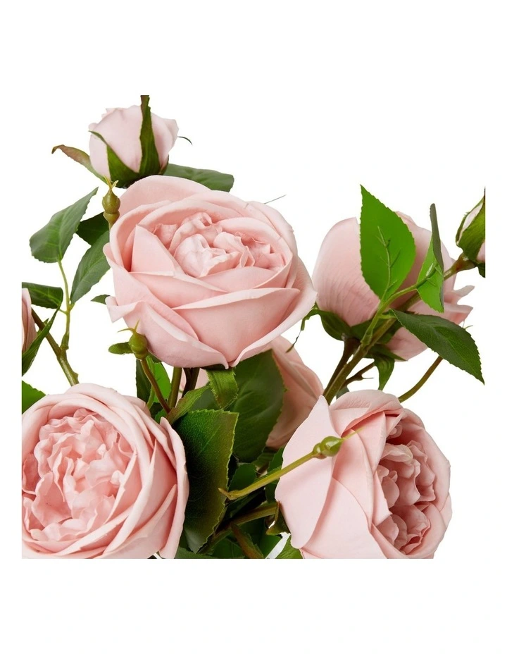 Rose Austin Spray-alma Vase in Dusty Pink image 2