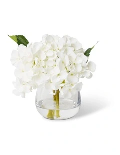 Hydrangea-Alma Vase White 20cm