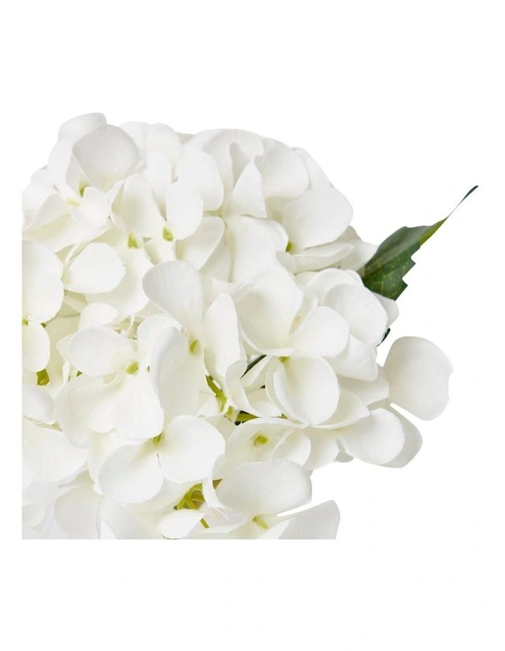Hydrangea-Alma Vase White 20cm image 2
