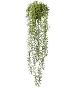 Sawtooth Hanging Fern in Green