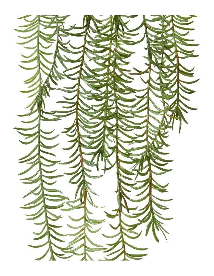 Sawtooth Hanging Fern in Green image 2