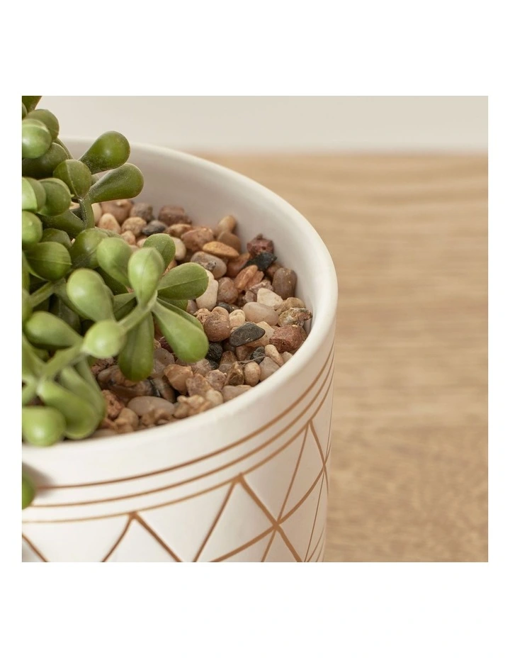 Artificial Potted String of Pearls Plant in Ceramic Pot 40cm in White/Green image 6