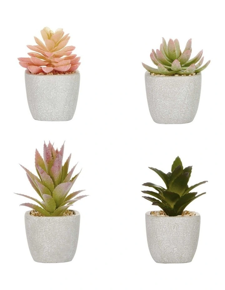 Succulents Artificial Plant 16cm Set of 4 in Multi image 1