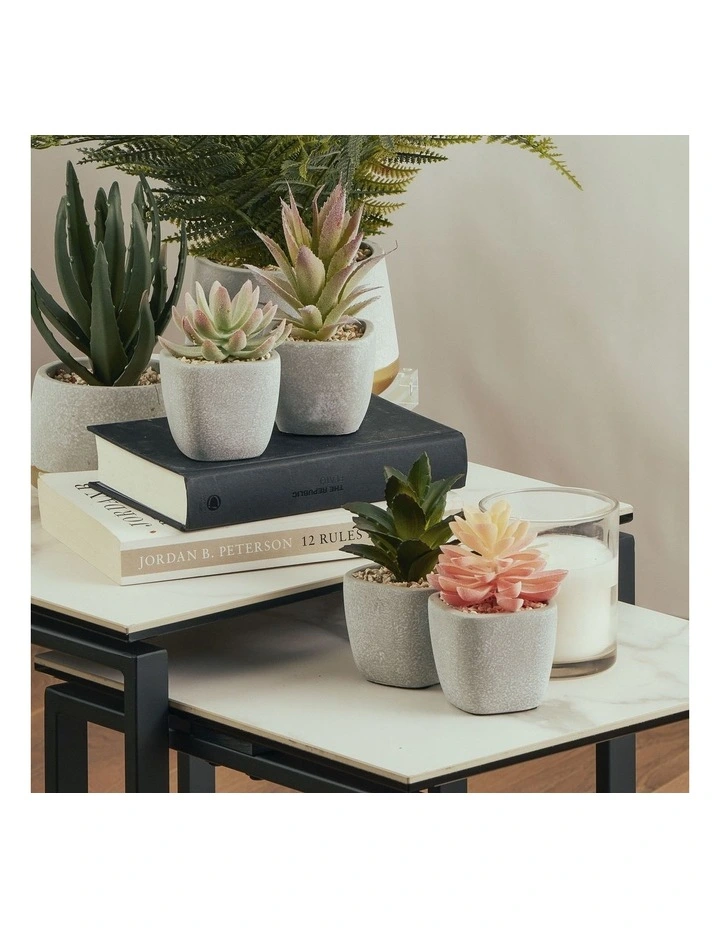 Succulents Artificial Plant 16cm Set of 4 in Multi image 2