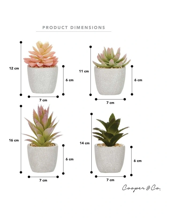 Succulents Artificial Plant 16cm Set of 4 in Multi image 3
