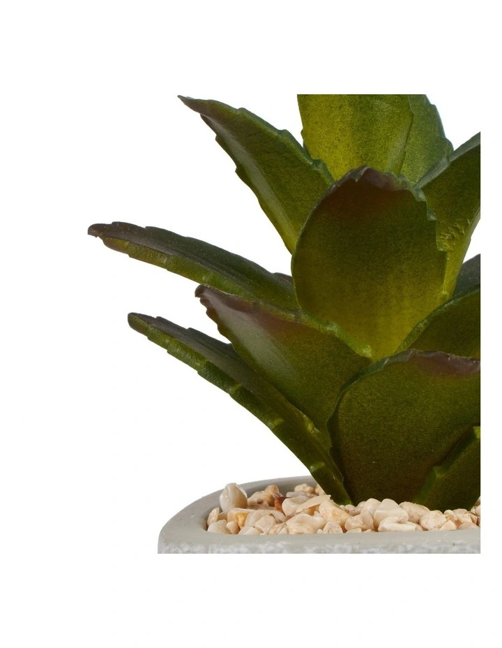 Succulents Artificial Plant 16cm Set of 4 in Multi image 4