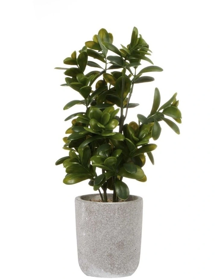 Sweet Plum Artificial Plant 40cm in Green image 1