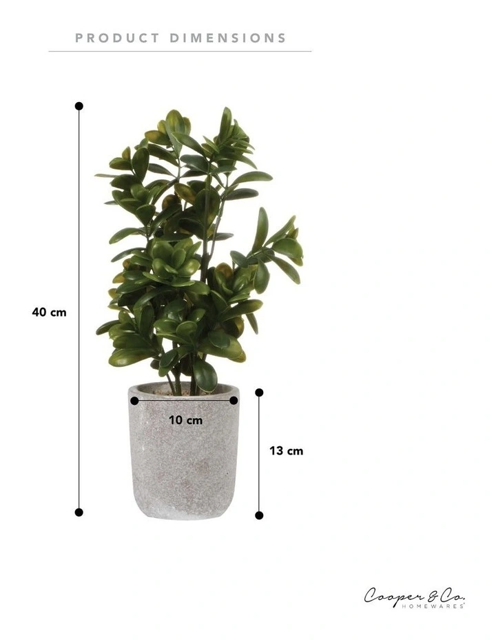 Sweet Plum Artificial Plant 40cm in Green image 3