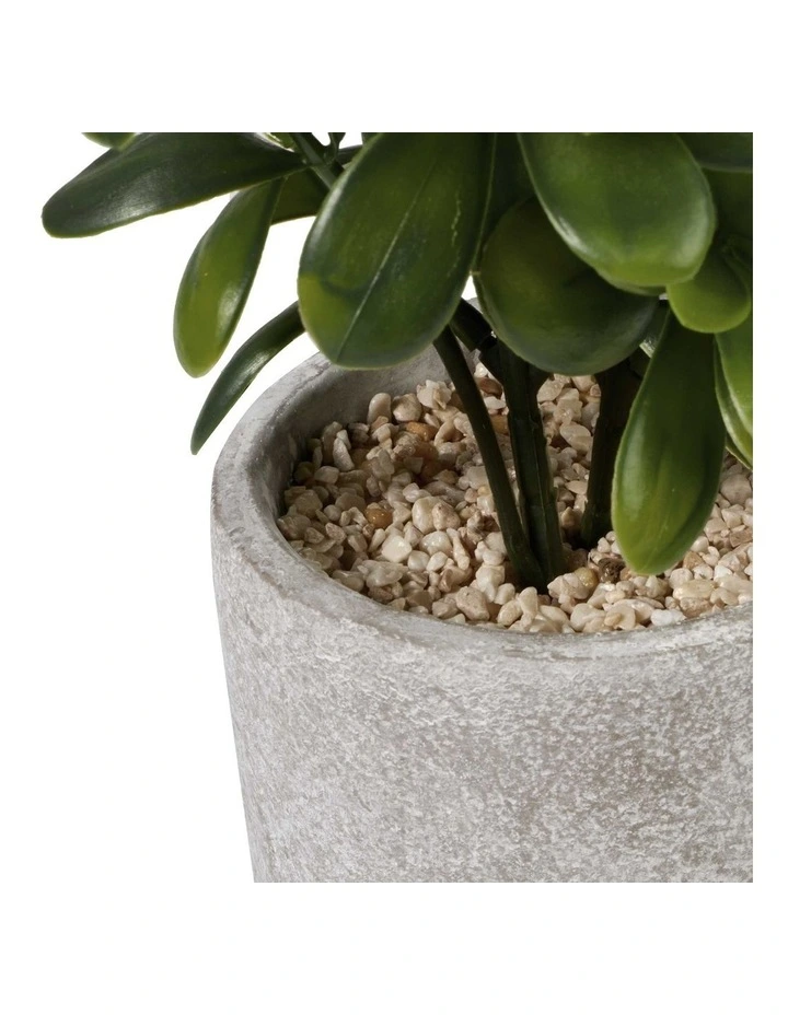 Sweet Plum Artificial Plant 40cm in Green image 5