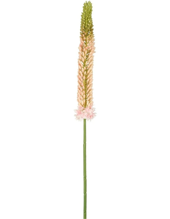 Fox Tail Stem 84cm in Pink image 1