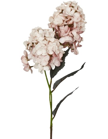 Pink colour