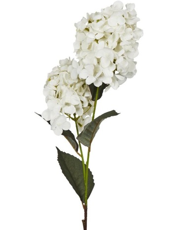 White colour
