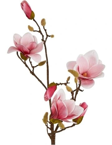 Magnolia With Full Blooms 110cm in Pink