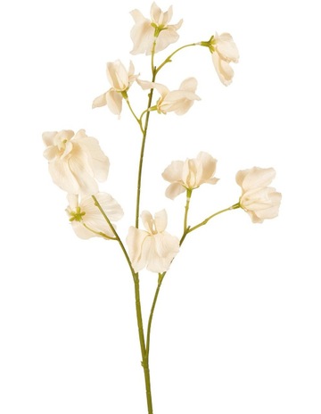 Off White colour