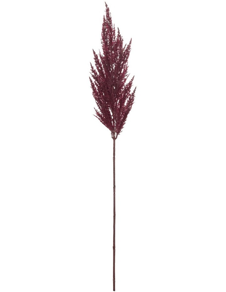 rogue pampas grass spray burgandy 92cm myer