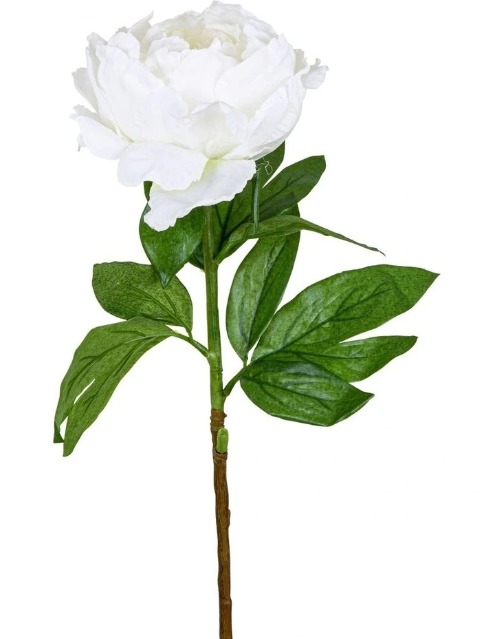 Peony Queen 70cm in White image 1