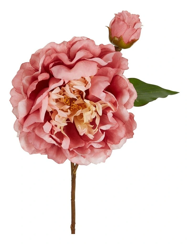 Peony Stem 61cm in Pink image 1