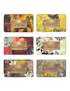 Vibrant Harmony Collection Soap Bar 6-Piece Set