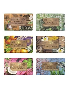 Soft Earth & Sea Collection Soap Bar 6-Piece Set