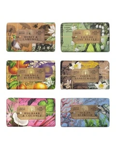 Soft Earth & Sea Collection Soap Bar 6-Piece Set