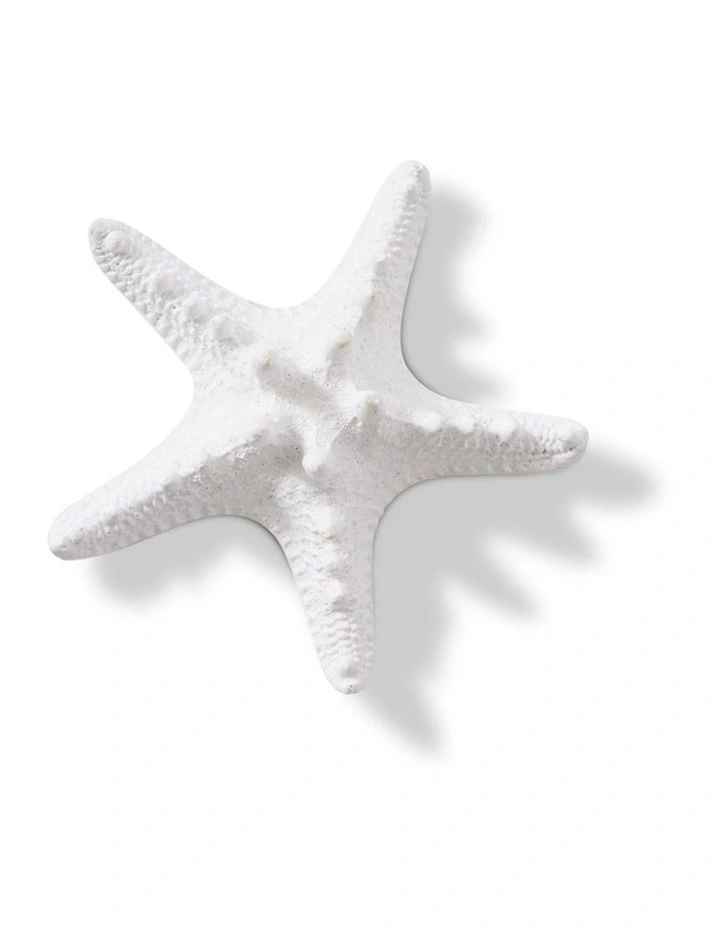 Knobbed Starfish 3cm in White image 1