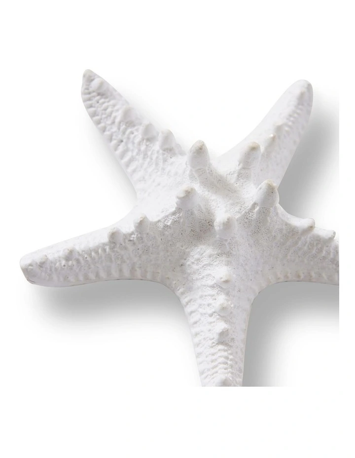 Knobbed Starfish 3cm in White image 2