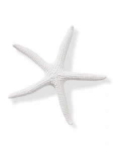 Starfish Sea Star 11cm in White