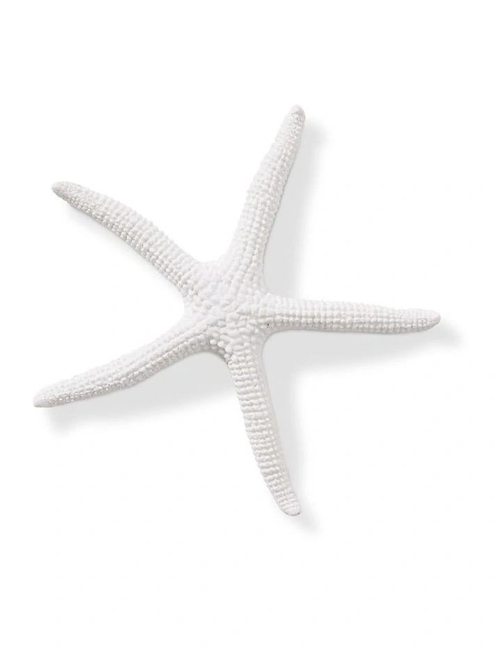 Starfish Sea Star 11cm in White image 1