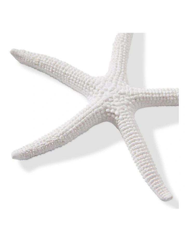 Starfish Sea Star 11cm in White image 2