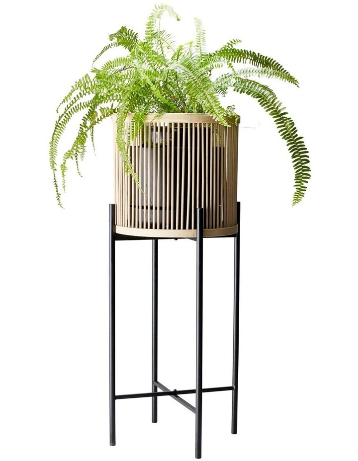 Rhythm Plant Stand 32x80cm in Natural image 2