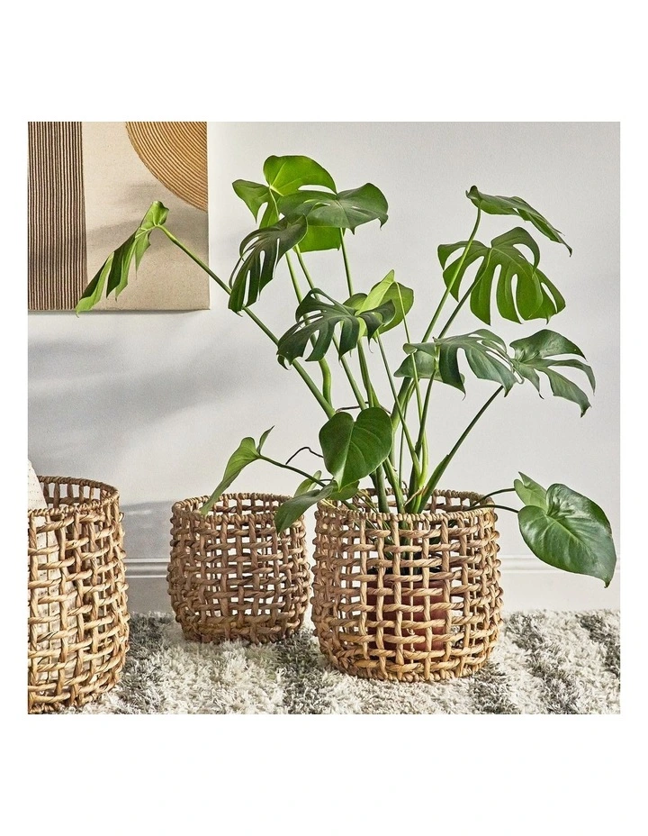 Open Weave Water Hyacinth Baskets Set of 3 in Brown image 4