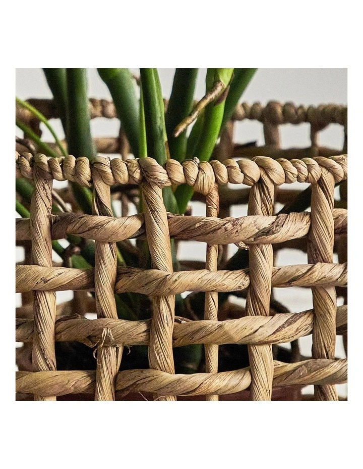Open Weave Water Hyacinth Baskets Set of 3 in Brown image 7