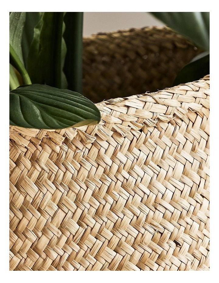 Carrie Sequin Seagrass Baskets Set Of 2 in Natural image 5