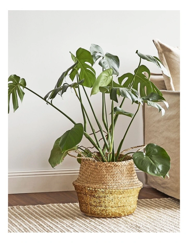 Carrie Sequin Seagrass Baskets Set Of 2 in Natural image 6