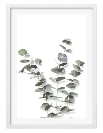 White colour
