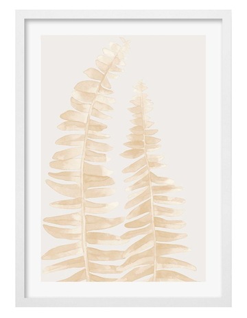 White colour