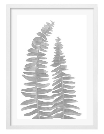 White colour