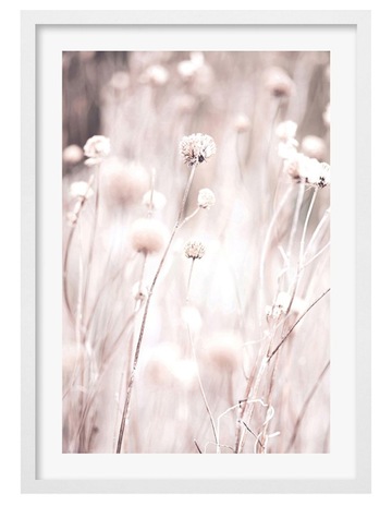 White colour