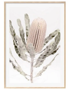 Australian Made Banksia Flower Art Print A0 Frame in Natural Frame