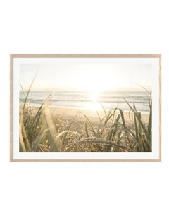 Australian Made Beach Grass Sunset Art Print A0 Frame in Natural Frame