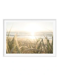 Australian Made Beach Grass Sunset Art Print A0 White Frame