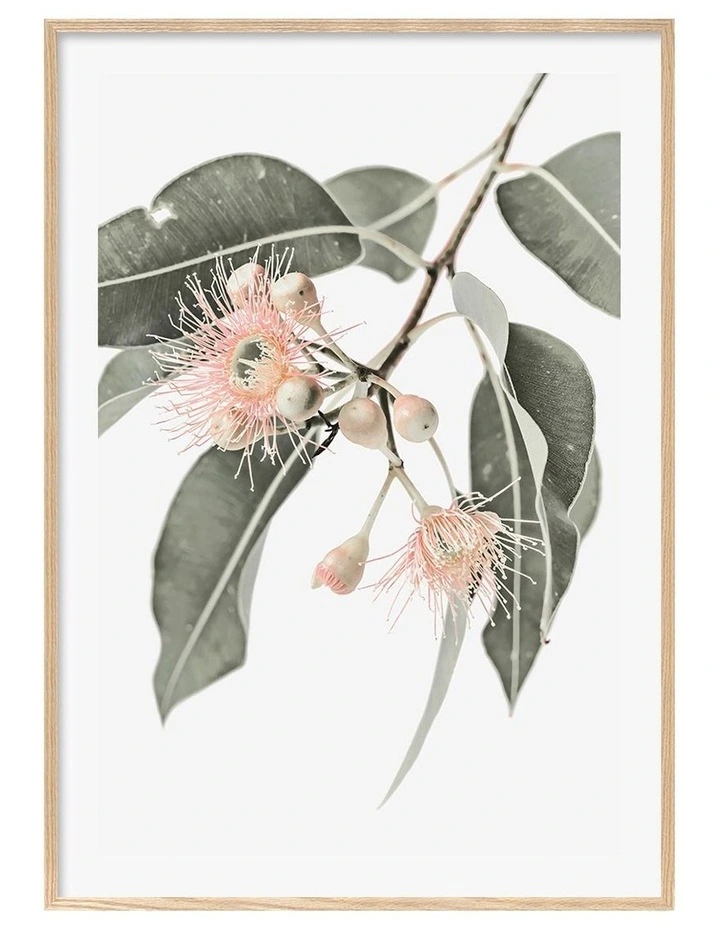 Australian Made Eucalyptus Foliage Art Print A0 Frame in Natural Frame image 1