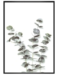 Australian Made Eucalyptus Foliage Art Print A0 Frame in Black Frame